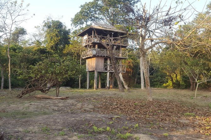 Jungle Towernight Stay In Chitwan National Park ,nepal-2 Nights 3 Days Package - Who Is This Tour Best For?  