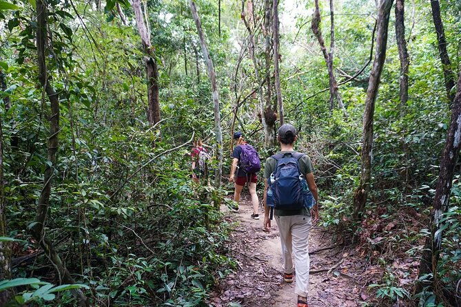 Jungle Trekking Tour at Phnom Kulen National Park from Siem Reap - The Itinerary: A Step-by-Step Breakdown