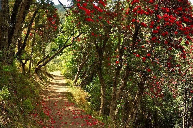 Kaflani Day Hike - Mussoorie - Practical Details and Logistics