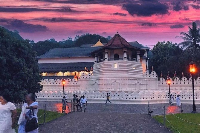 Kandy City Tour and day trip private luxury car and van - How the Price Reflects the Experience