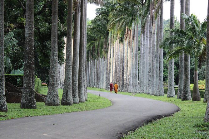 Kandy Day Tour - What Reviewers Say