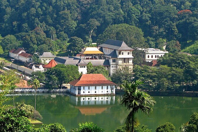Kandy Day Trip with Tooth Relic Temple & Unique Attractions - Authentic Contact & Practical Details
