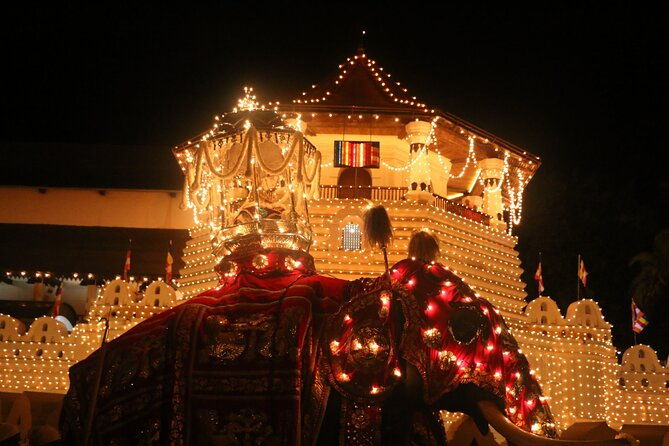 Kandy Full-Day Tour - Real Travelers’ Insights