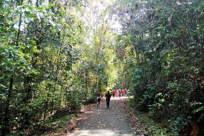Kanneliya Rain Forest Tour - Discovering Sri Lanka’s Rainforest Ecosystem