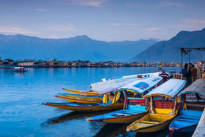 Kashmir Private Tour - an ultimate abode of heaven - Who Is This Tour Best For?