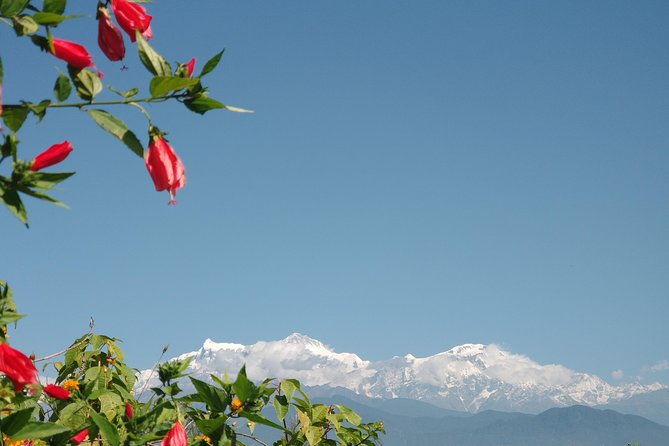 Kathmandu and Pokhara: A Journey Through Nepal's Cultural and Natural Wonders - Day 4: Back to Kathmandu and Cultural Exploration