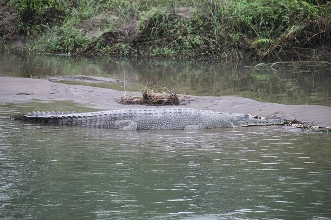 Kathmandu Chitwan Pokhara Tour - What to Expect from the Kathmandu Chitwan Pokhara Tour