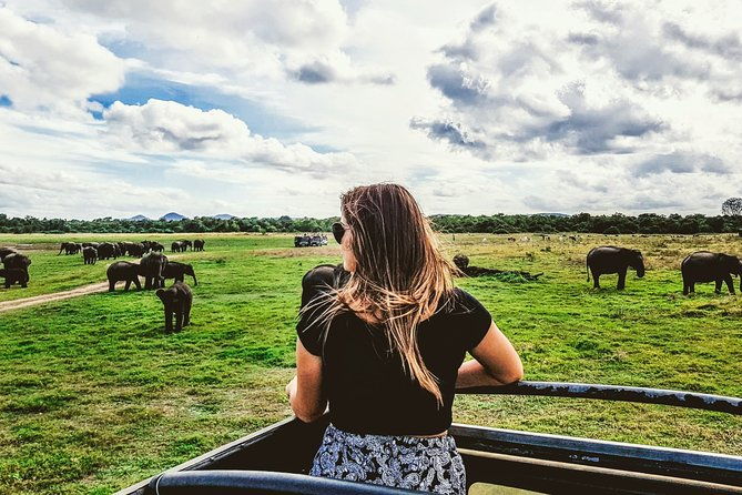 Kaudulla National Park Shared Safari - The Itinerary in Detail