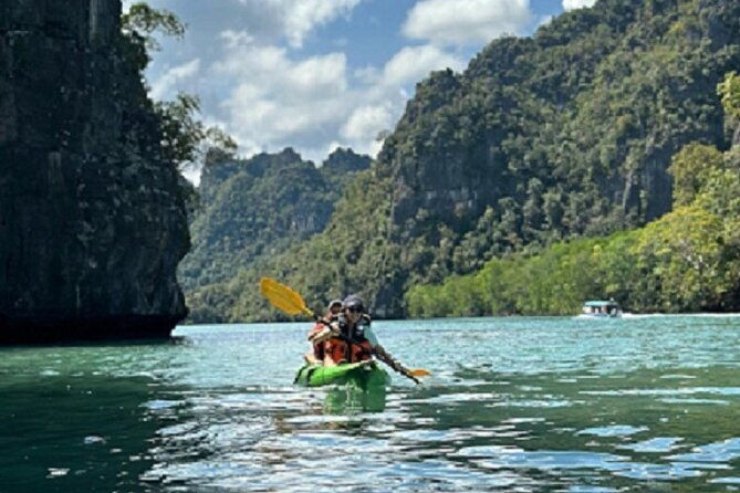 Kayaking Kilim Mangrove Geoforest - An In-Depth Look at the Kilim Mangrove Tour