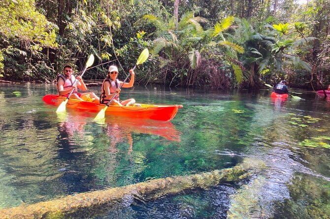 Kayaking Klongroot-Klongnamsai - Authentic Experiences from Reviewers