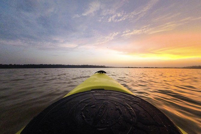 Kayaking to the Black Devil Snail Sandbar Island in Paravur Lake near Varkala - An In-Depth Look at the Kayaking Experience