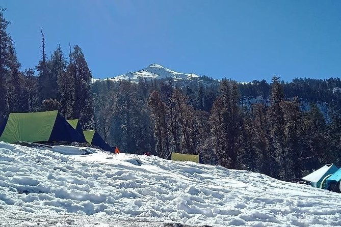 Kedarkantha Trek (Dehradun to Dehradun) - The Journey Begins: Dehradun to Sankri