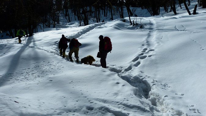 Kedarkantha Trek - What Makes This Trek Stand Out?