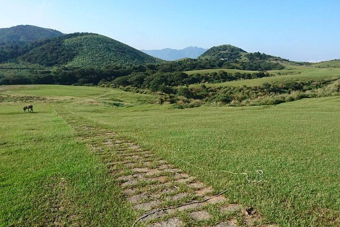 Keelung Shore Excursion: Yangmingshan Hot Spring and Wild Vegetable Cuisine Tour - Final Thoughts: Who Will Love This Tour?