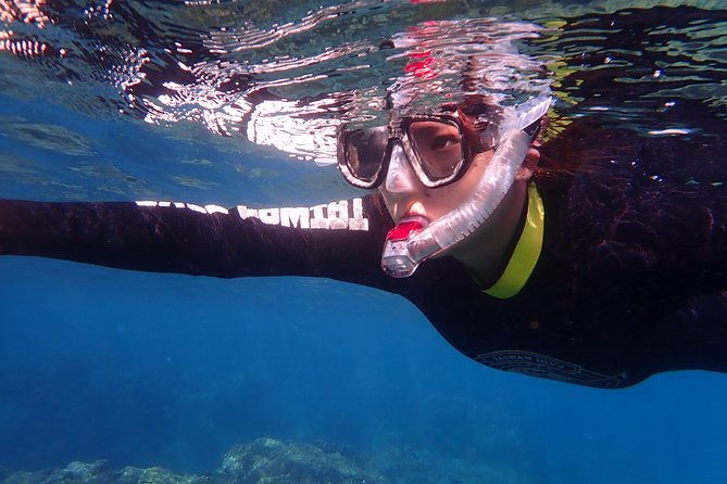 Kenting, TaiwanSnorkeling Free underwater photography One-on-one with instructorTaiwan Diving Snorkeling - Post-Activity and Certification