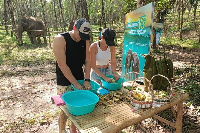 Khao Lak Elephant Sanctuary Tour with Waterfall and Lunch - What to Expect from the Khao Lak Elephant Sanctuary Tour