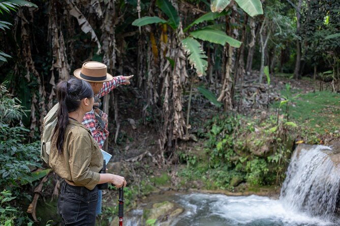 Khaolak Elephant Sanctuary, Cooking Class and Waterfall Tour - The Experience in Detail: Why It Works