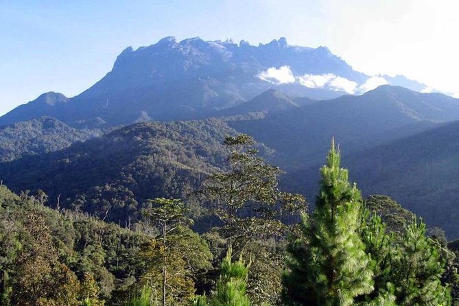 Kinabalu Park & Poring Hot Spring Tour - Authenticity and Guide Experience