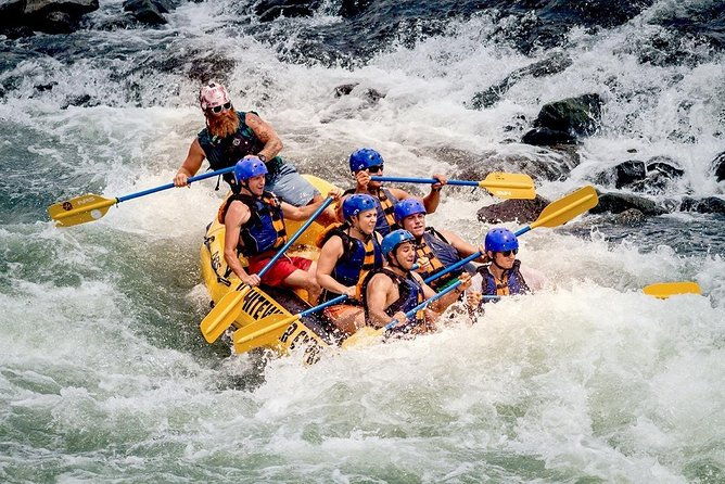 Kitulgala White Water Rafting From Colombo - Authentic Insights From Past Travelers