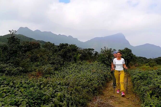 Knuckles Mountain Range Hiking and Trekking Day Tour From Kandy Hotels - The Experience: What Makes This Trek Special