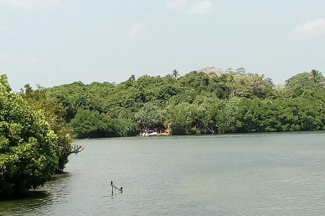 Koggala Lake Boat Tour - Potential Drawbacks or Considerations