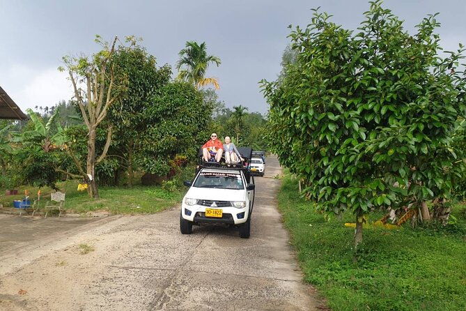 Koh Samui Jungle Safari Around The island Tour - The Itinerary: What You Can Expect