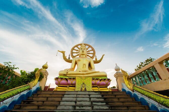 Koh Samui Off Road Jungle Tour - Who Is This Tour Best For?