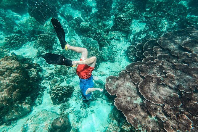 Koh Tao VIP Snorkelling Tour - Practical Details: What You Need to Know