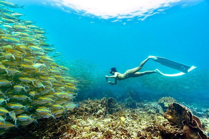 Koh Taos Top Snorkeling Spots by Vintage Wooden Boat - An In-Depth Look at the Koh Tao Snorkeling Tour