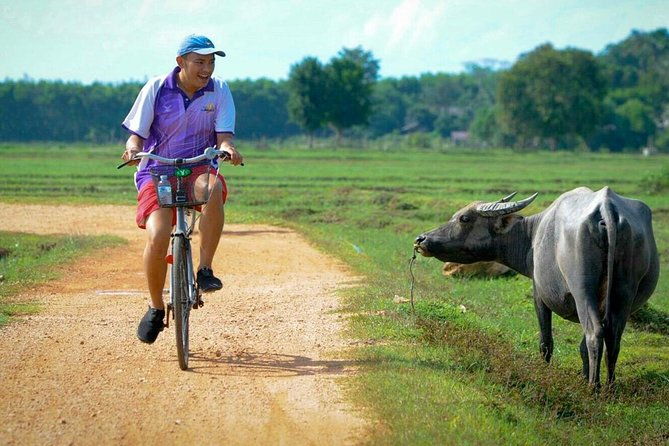 Koh Yao Noi Full Day Tour with Bike Ride & Lunch - What To Expect From the Experience