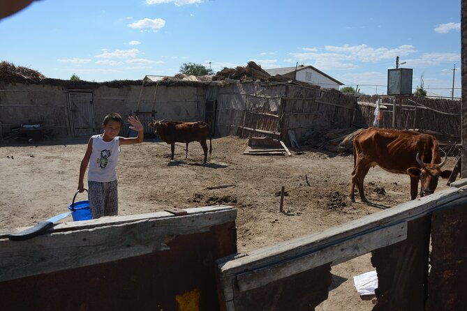 Kolkhoz: Private visit to the cotton farmers' village - Who Would Love This Tour?