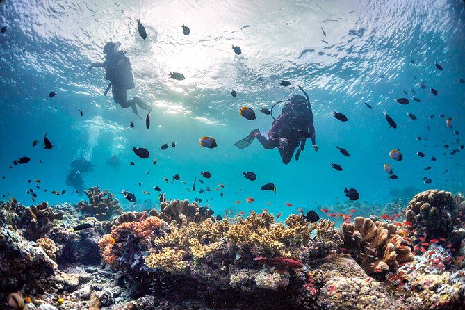 Kota Kinabalu Leisure Scuba Diving Trip (3 Dives) - The Experience from a Review Perspective