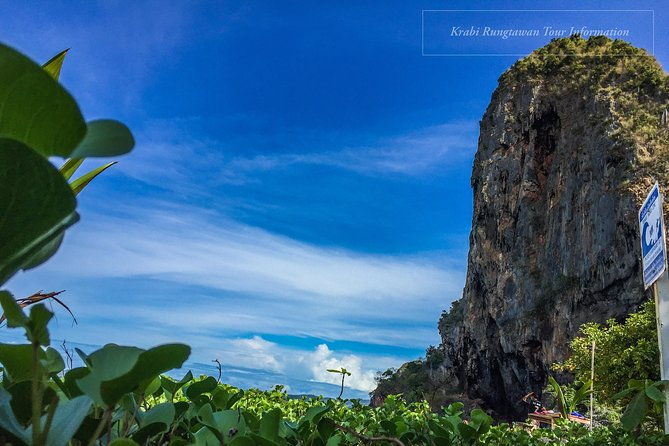 Krabi Ao, nang Bioluminescent plankton by longtail boat - Who Will Love This Tour?