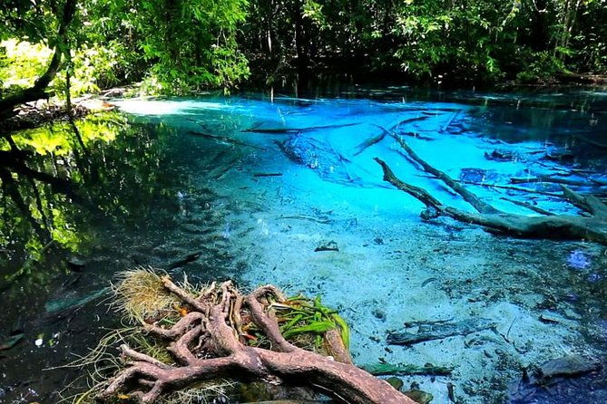 Krabi Jungle Tour with ATV Riding - A Detailed Breakdown of the Itinerary