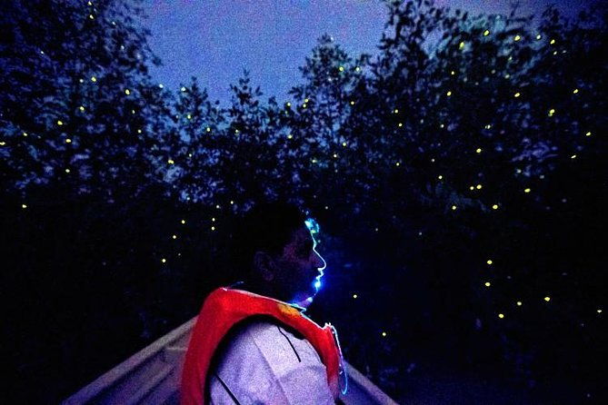 Kuala Selangor Firefly Boat Tour with Roundtrip Transfer from Kuala Lumpur - Final Thoughts: Who Is This Tour Best For?