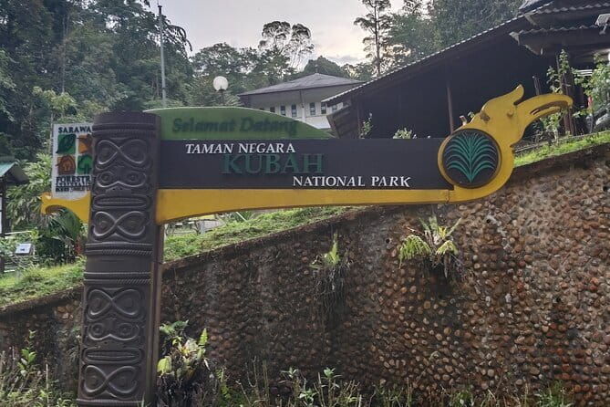 Kubah's Nocturnal Wonders Nighttime Frog Safari - Who Is This Tour Best For?
