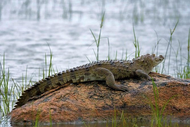 Kumana National park Full day safari - Value for Money and Overall Impression