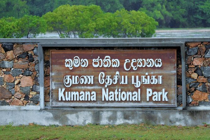 Kumana National Park Safari | from Arugam Bay - Why This Tour Is a Must-Do (And Who Will Love It)