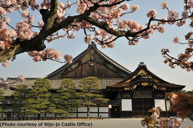 Kyoto and Nara Day Trip - Golden Pavilion and Todaiji from Osaka - What Reviewers Are Saying