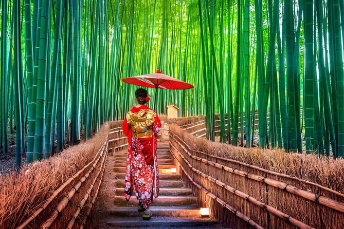 Kyoto and Nara Private Trip - Potential Drawbacks and Considerations