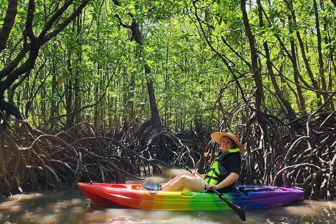 Langkawi Mangrove Kayak Tour by Sham - The Itinerary in Detail