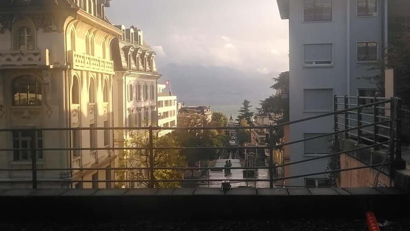 Lausanne: Cultural and Historical Guided Walking Tour - What Makes This Tour Stand Out?