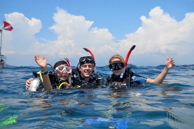 Leisure Diving | Fun Dives | 3 Dives in TARP, Kota Kinabalu - What Makes the Marine Park Special?