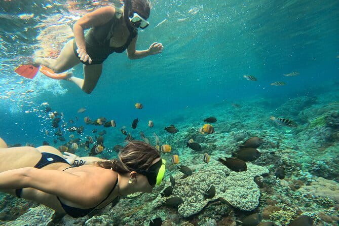 Lembongan Snorkeling at Manta Point Crystal Bay and Mangrove - The Practicalities: What You Need to Know