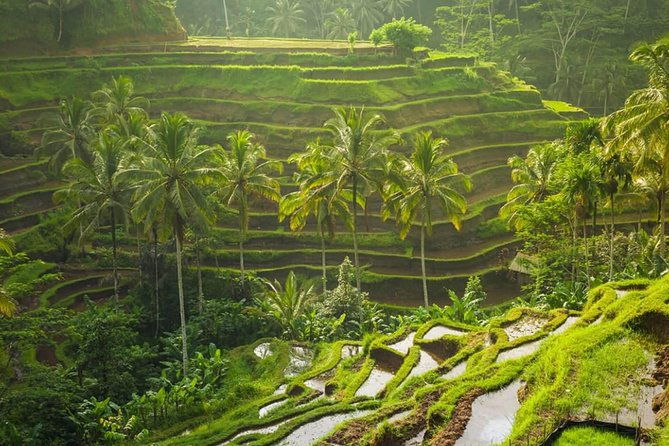 Lempuyang Temple and Bali Instagramable Tour - Who Is This Tour Best For?