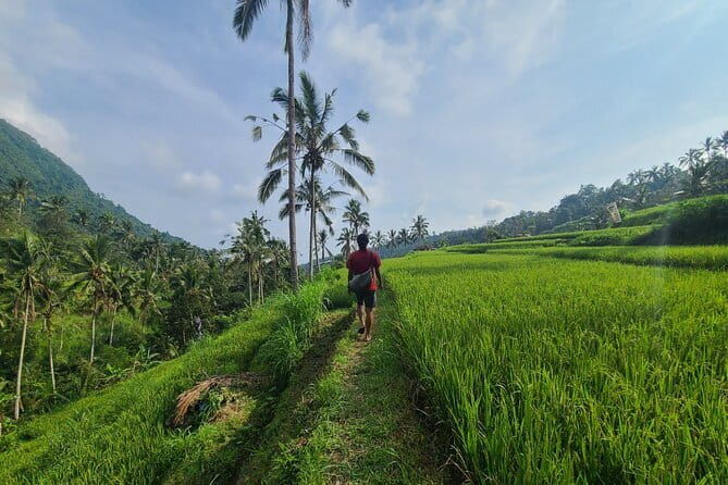 Lemukih Hidden Trekking Waterslide Sekumpul and Fiji Waterfall - The Itinerary in Detail