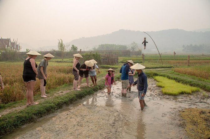 Living Land Rice Farming Experience - A Full Breakdown of the Living Land Rice Farming Tour