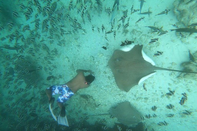 Local Island Day Trip from Hulhumale - Setting the Scene: What to Expect