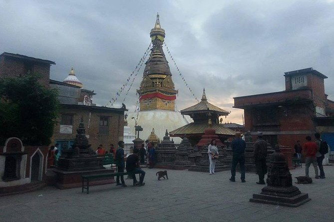 Local Living Nepal - Day-by-Day Breakdown: What You Can Expect