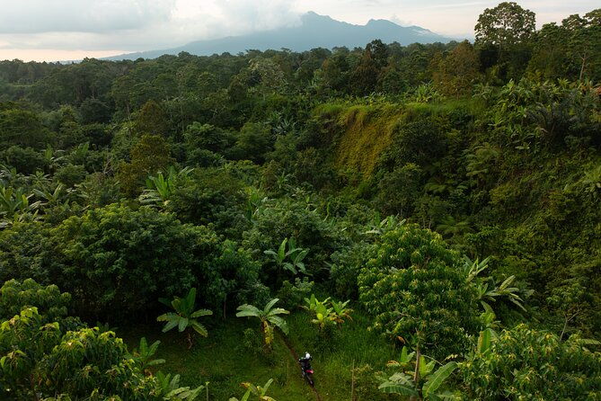 Lombok Off Road Dirt Biking and Enduro Trails Adventure - The Experience in Action